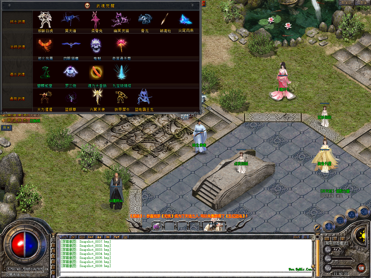 Snapshot_0040.bmp