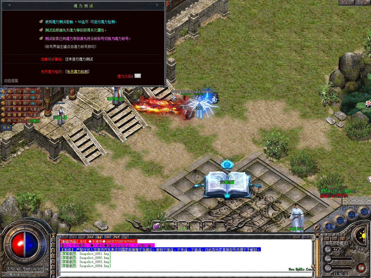 Snapshot_0055.bmp